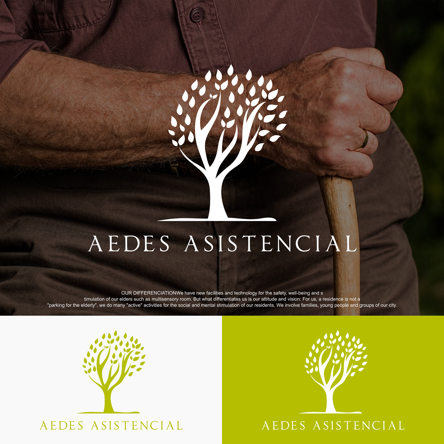 Logo Design by zatsukiki for Aedes Asistencial | Design #20114846