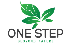 Logo Design by Vision Exalt Technology for this project | Design: #20072724