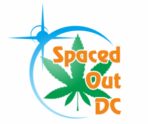 Logo Design by Okuta