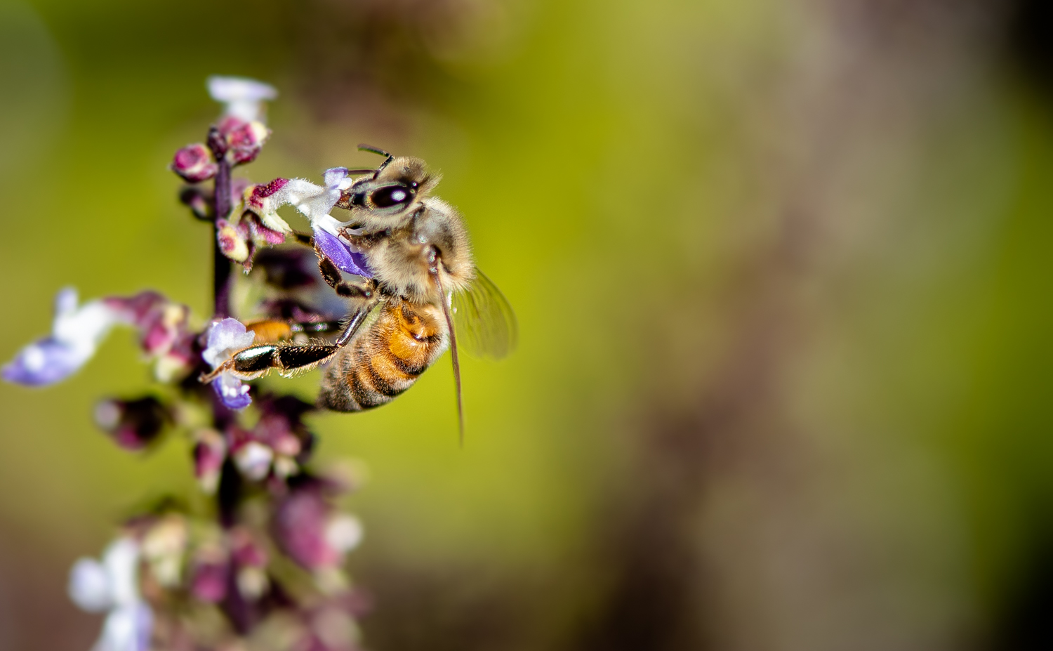 Photography by Manson Nellum for DesignCrowd (Community Contests) | Design #20180309