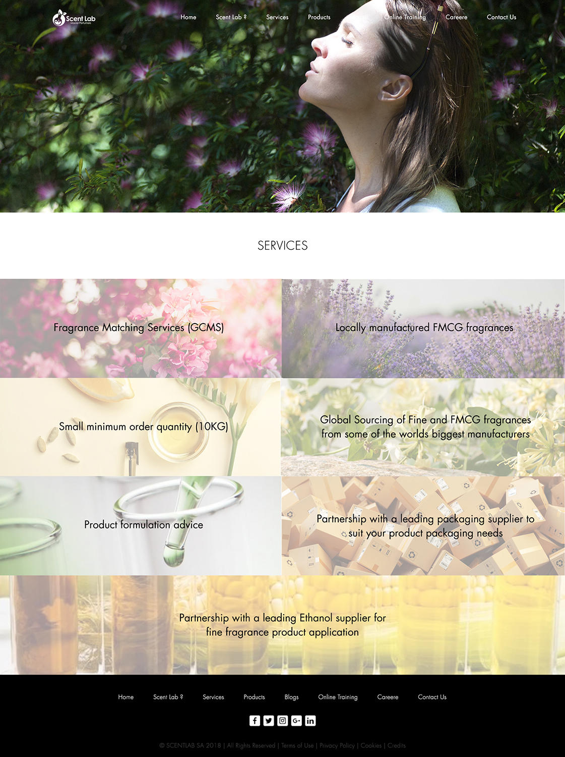 Diseño Web por Limecom para Scent Lab | Diseño #20171706