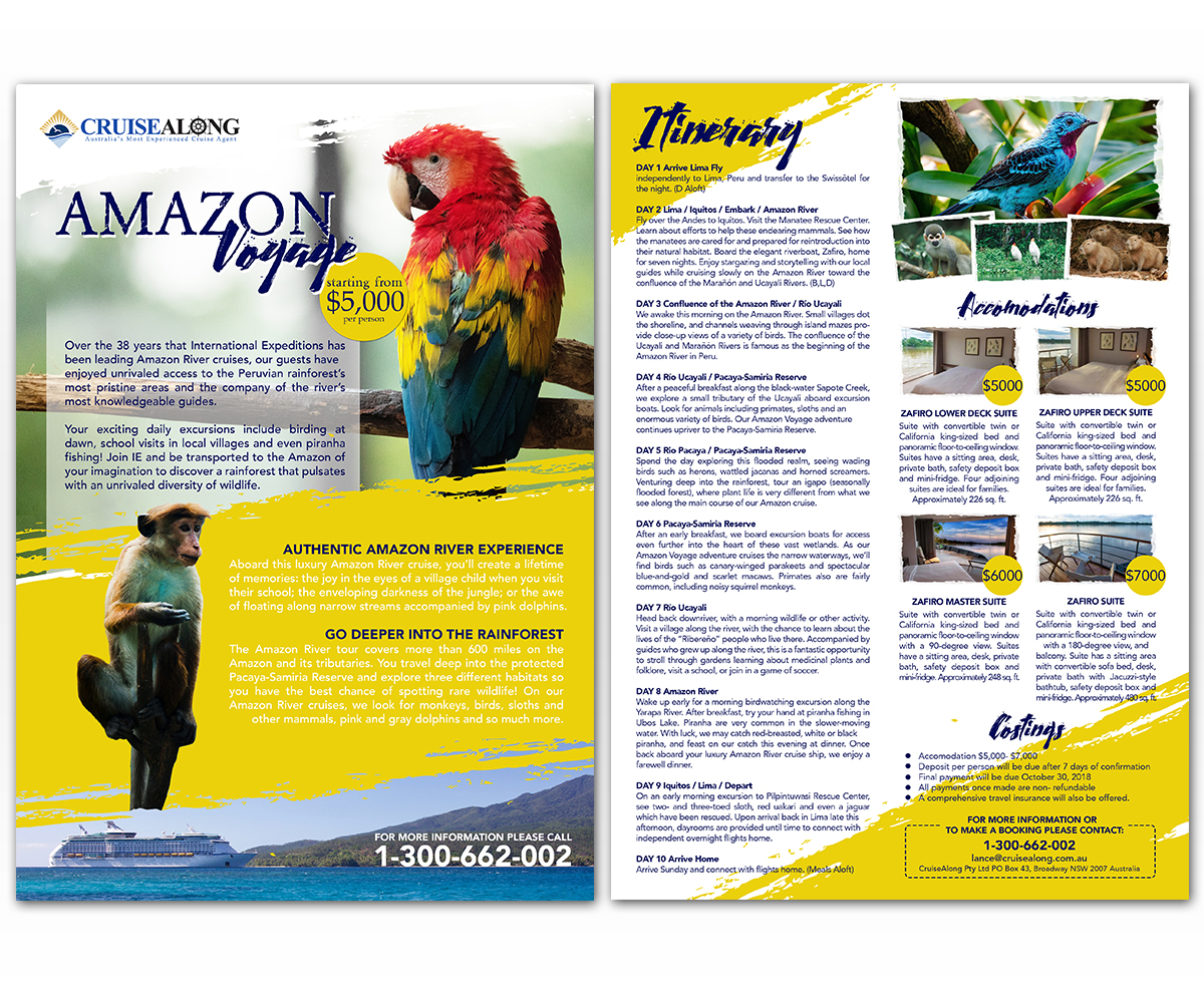Flyer Design by Luniere Designs for CruiseAlong Pty Ltd | Design #20140124