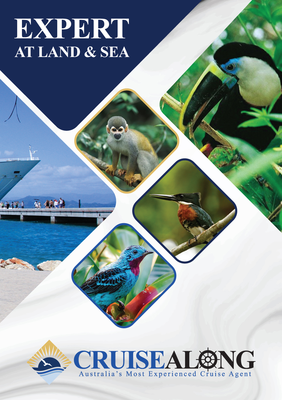 Flyer Design by Fusionex Studio for CruiseAlong Pty Ltd | Design #20104819