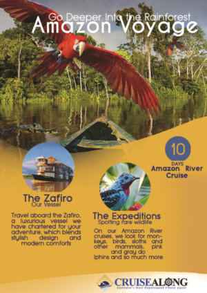 Flyer Design by DariaB