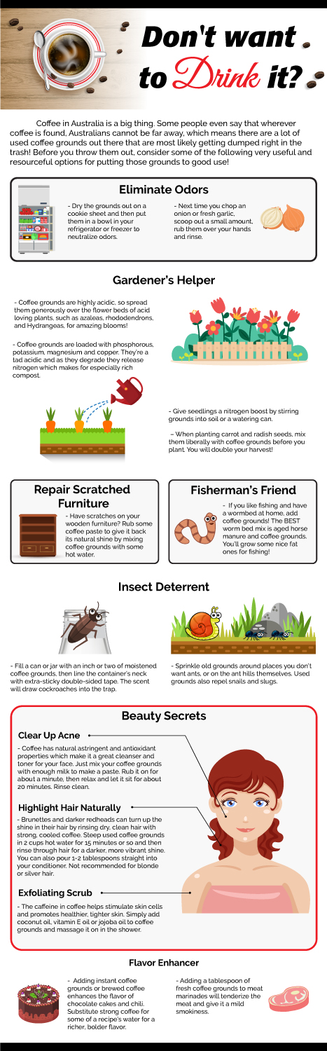 Infographic Design by DesignerGuide for Fujay | Design: #20108584