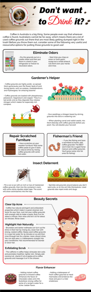 Infographic Design by DesignerGuide