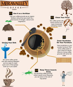 Infographic Design by Bilal Sarvana 2