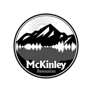 Diseño de Logo por Nelson Brai para Drift Energy | Diseño: #20302418