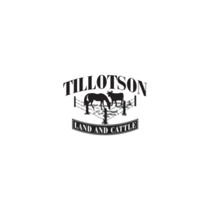 Tillotson Land and Cattle  | Logo Design by Anna G.