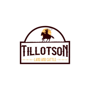 Logo Design by Design Sword for this project | Design: #20108106