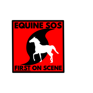 Logo Design by FollowTheRiver