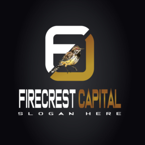 Logo Design by NOUH