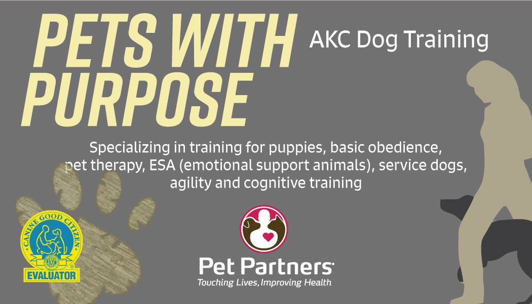 Diseño de Tarjeta de Presentación por curole6461 para The Organizing Fairy | Diseño #20120232