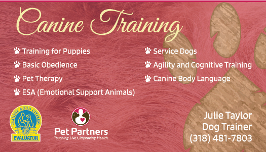 Diseño de Tarjeta de Presentación por curole6461 para The Organizing Fairy | Diseño #20122722