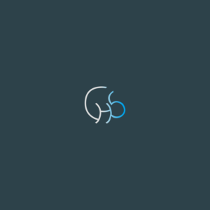 Diseño de Logo por artpray para Gray Hunter Stenn LLP | Diseño: #20176081