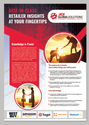 Flyer Design by BLUE WINGS