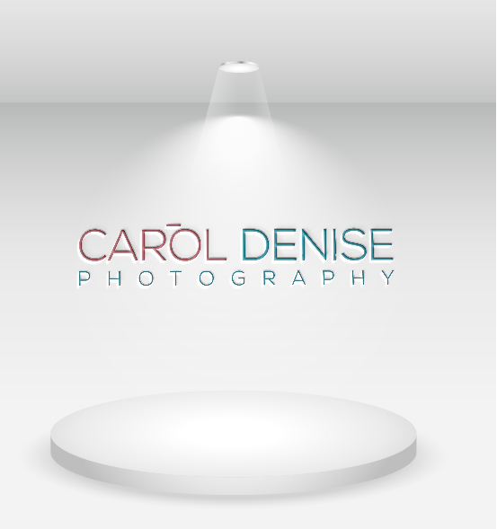 Logo Design by ahasan 3 for this project | Design #20136987