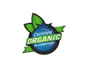 Logo Design by Kira Graphics