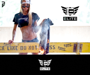 Logo Design by poisonvectors