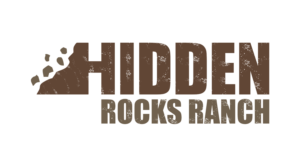 Logo Design by sandeep 11