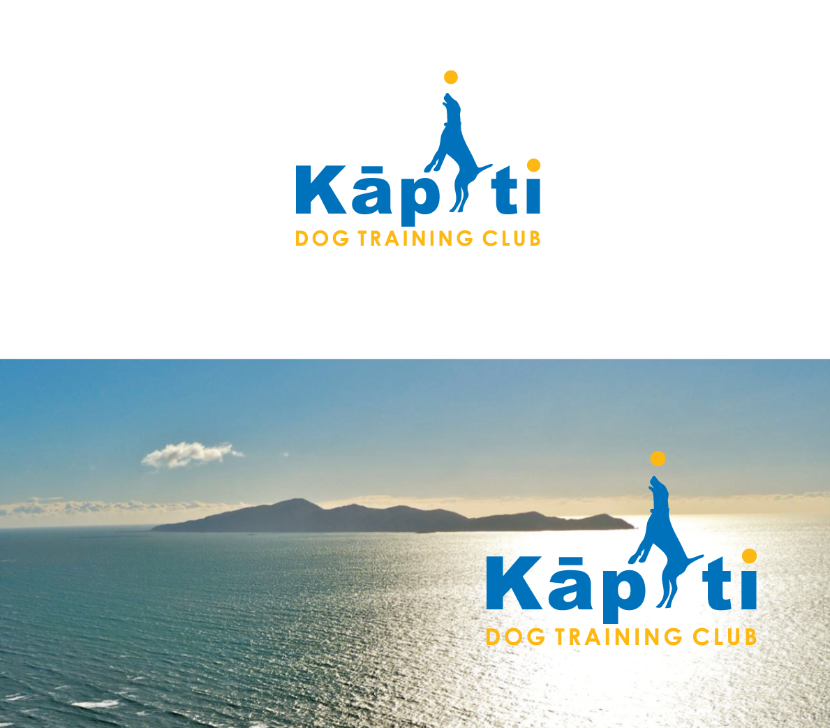 Logo Design by bijuak for this project | Design #20175126