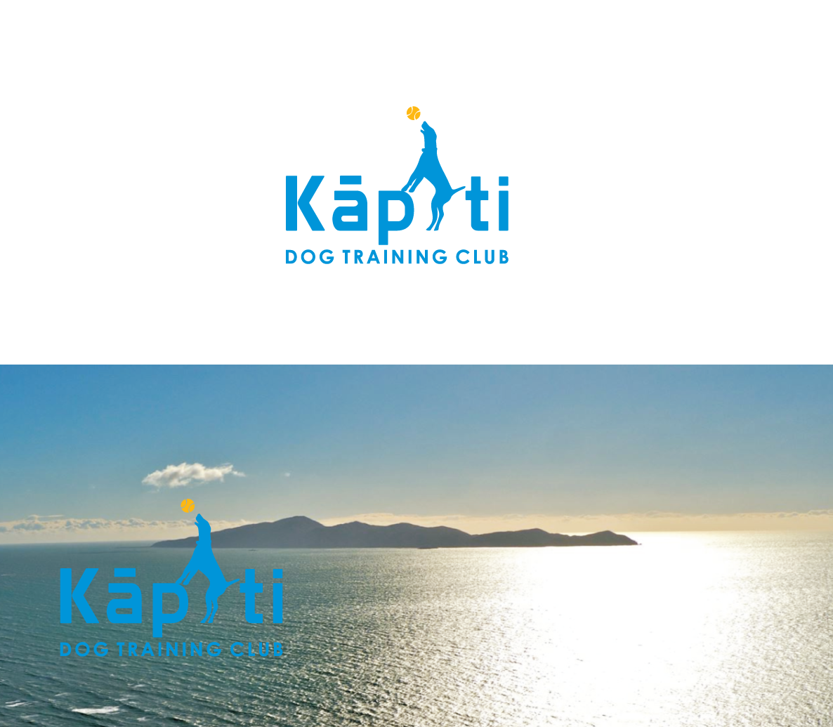 Logo Design by bijuak for this project | Design #20186637