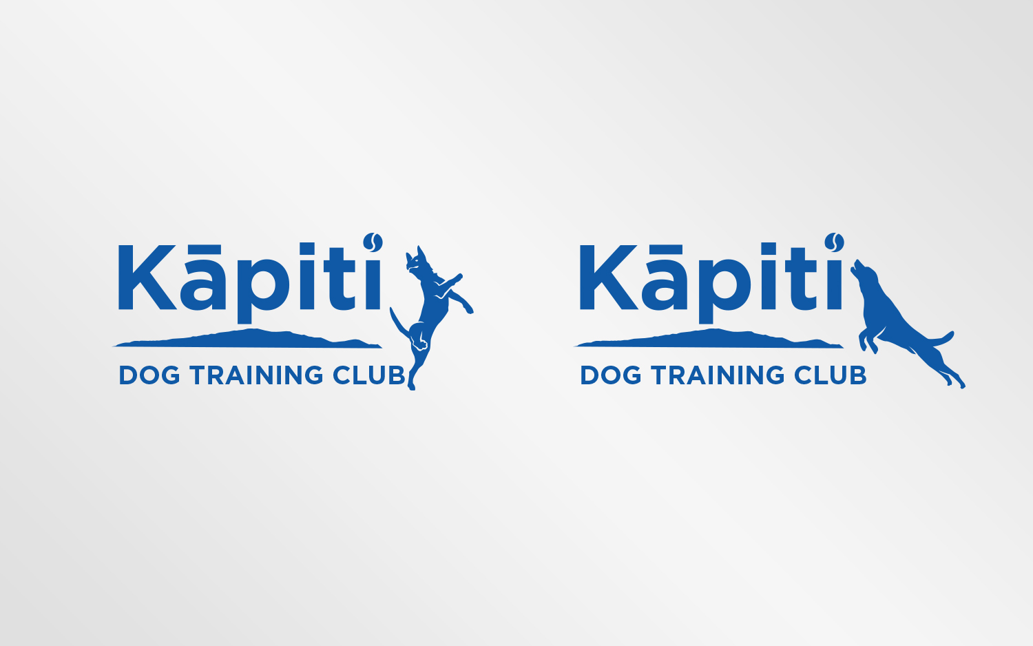 Logo Design by Grafactory for this project | Design #20162961