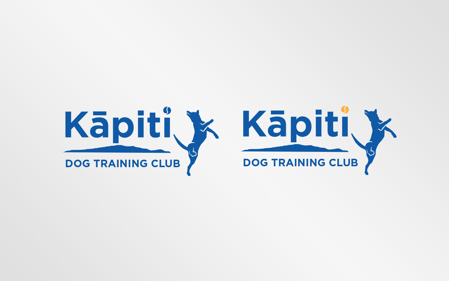 Diseño de Logo por Grafactory para este proyecto | Diseño #20195958