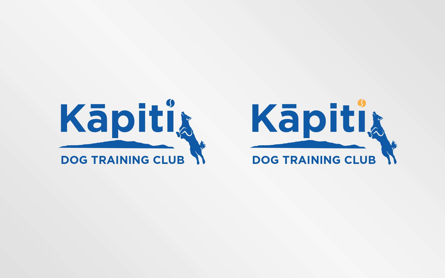 Diseño de Logo por Grafactory para este proyecto | Diseño #20195959