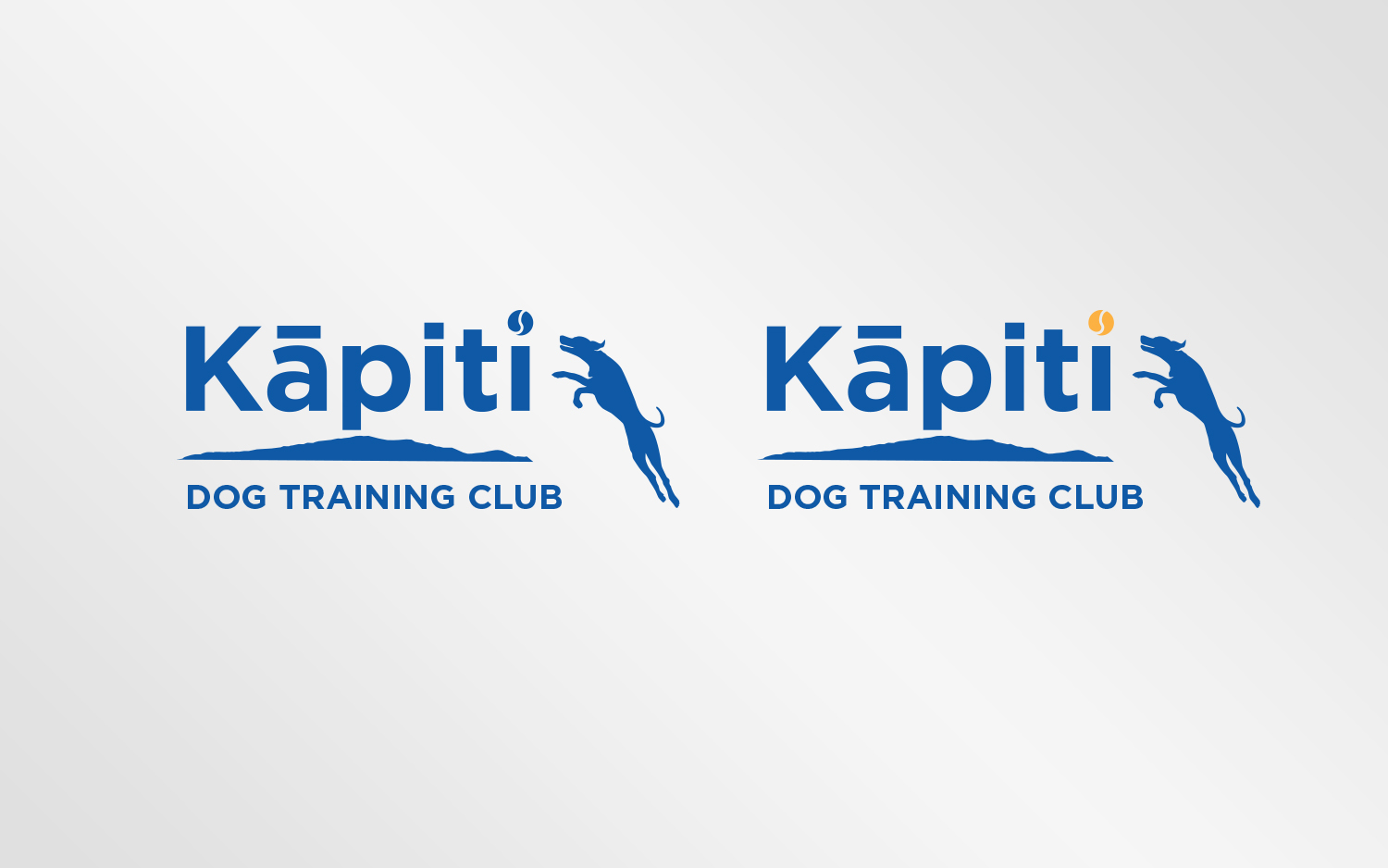 Diseño de Logo por Grafactory para este proyecto | Diseño #20196369