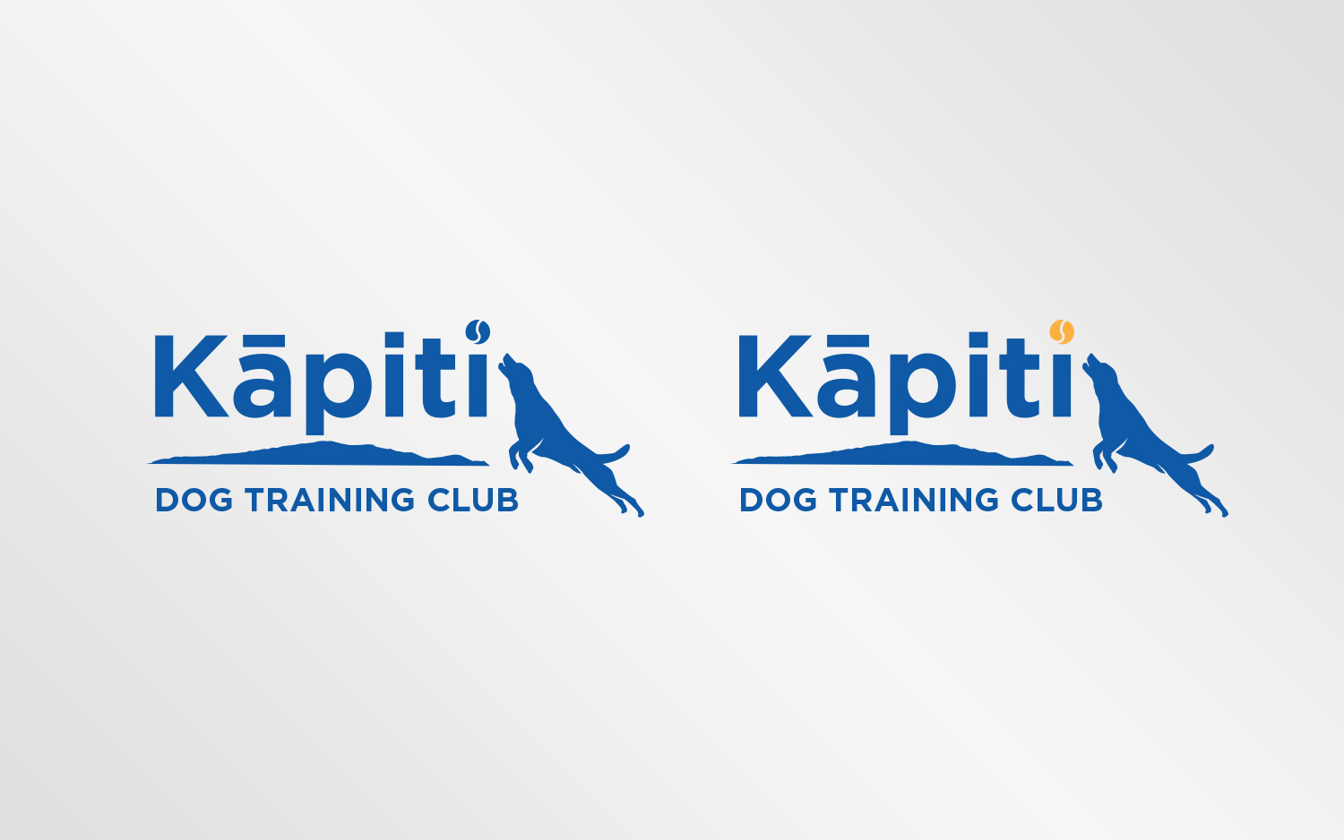 Diseño de Logo por Grafactory para este proyecto | Diseño #20202922