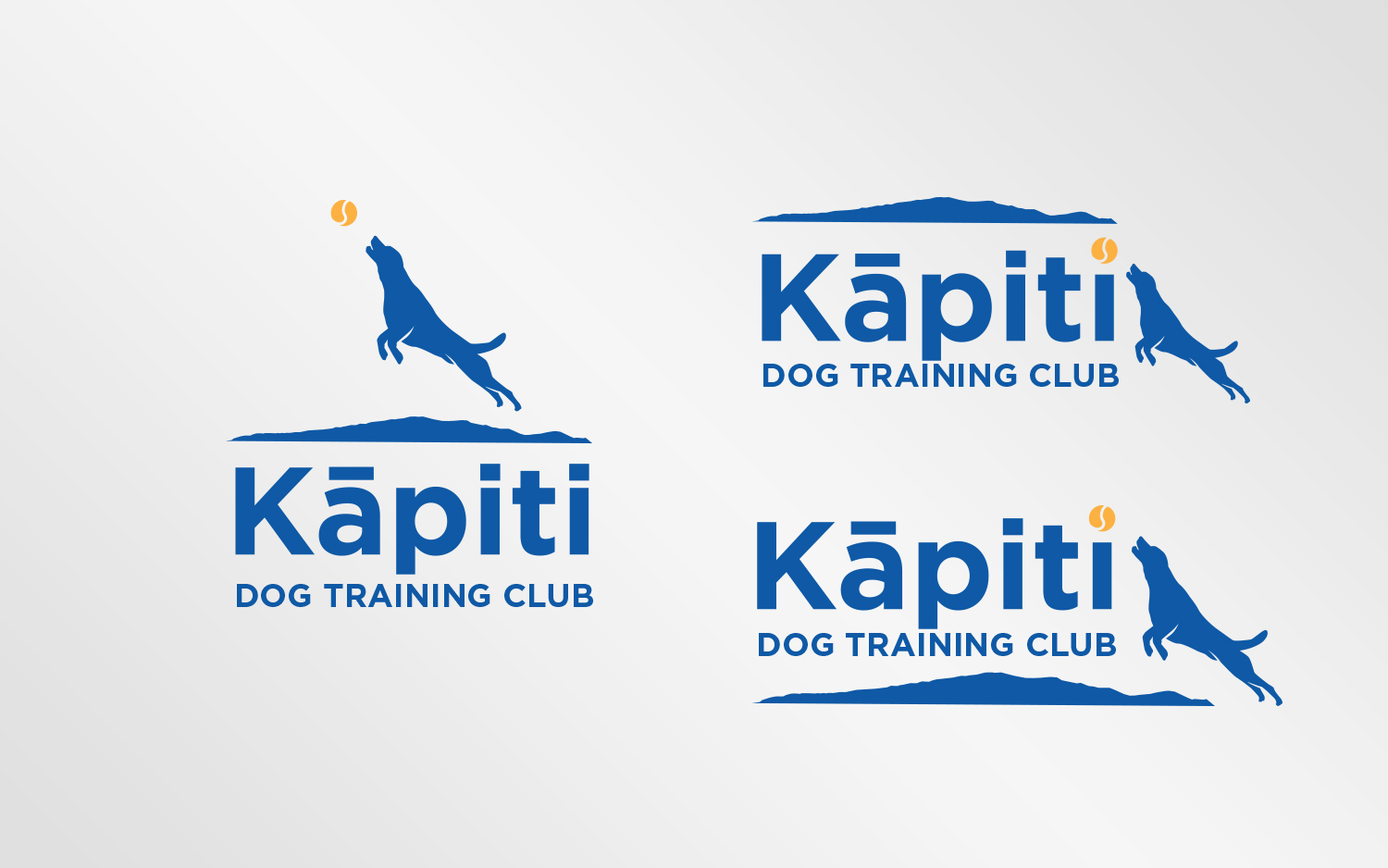 Diseño de Logo por Grafactory para este proyecto | Diseño #20211635