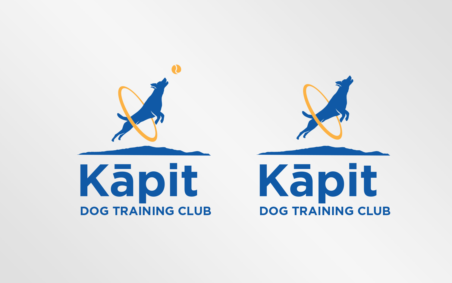 Diseño de Logo por Grafactory para este proyecto | Diseño #20215034