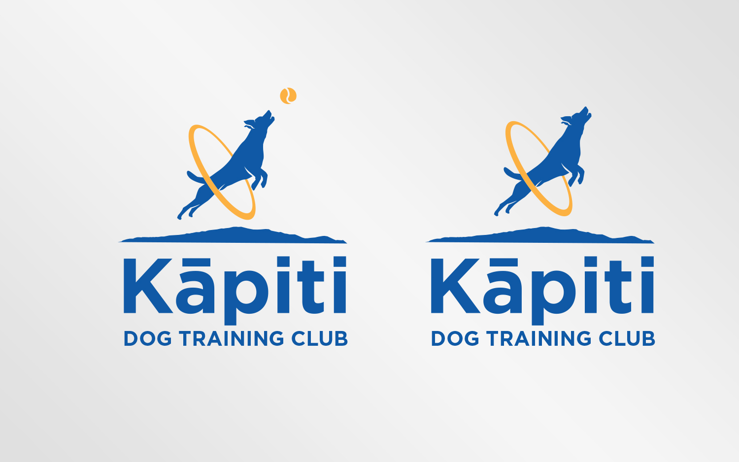 Diseño de Logo por Grafactory para este proyecto | Diseño #20216830