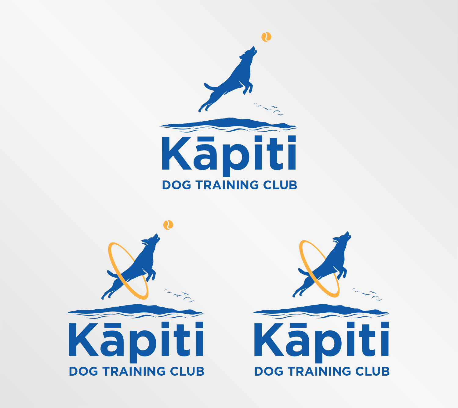 Logo Design by Grafactory for this project | Design #20276326