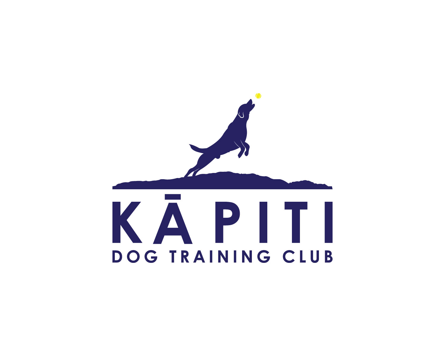 Diseño de Logo por MAWBM para este proyecto | Diseño #20217804