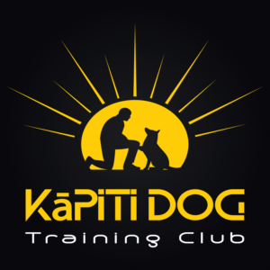 Logo Design by NOUH