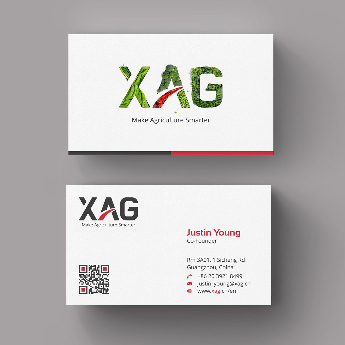 Business Card Design by INDIAN_Ashok for RevolutionAG | Design #20143551