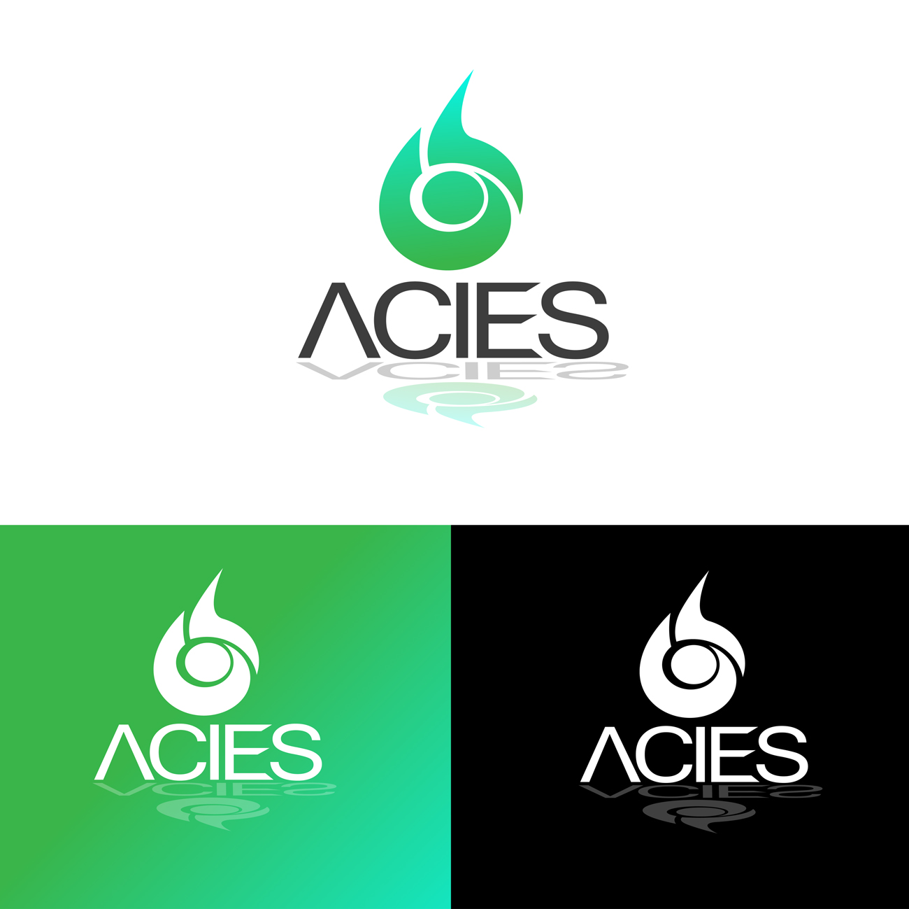 Logo Design by IdentsArt for this project | Design #20162365
