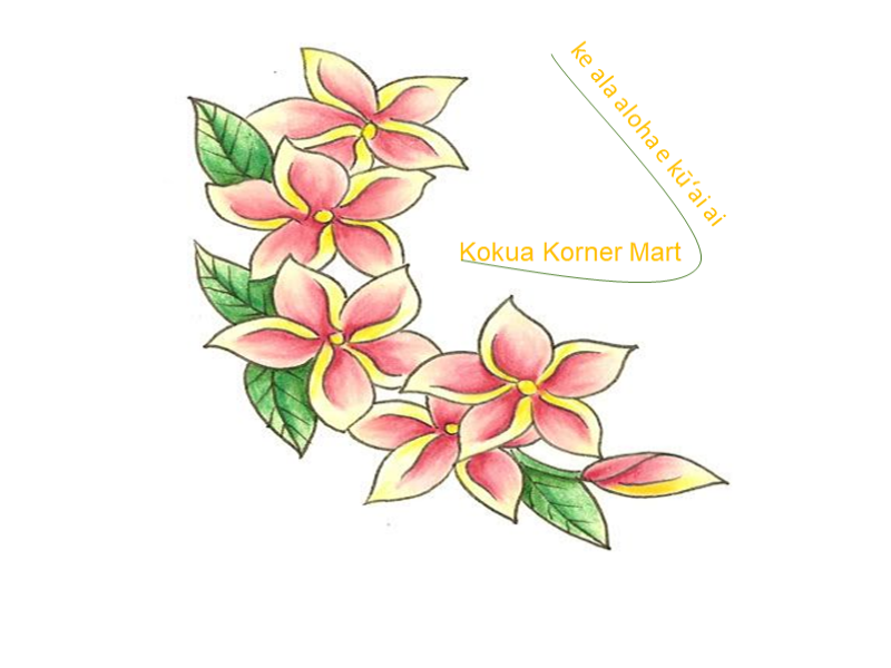 Logo Design by Cinar D for K&K Distributors | Design #20167643