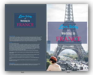 eBook Cover Design by ColorDrops for this project | Design: #20164782