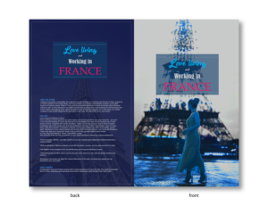 eBook Cover Design by ColorDrops for this project | Design: #20164783
