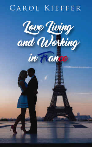 eBook Cover Design by Sarina.dsg for this project | Design: #20171448