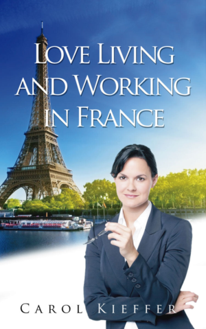 Design de Couverture eBook par Sarina.dsg pour ce projet | Design : #20212906