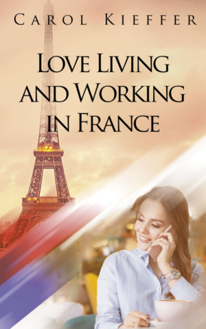 Design de Couverture eBook par Sarina.dsg pour ce projet | Design : #20221199