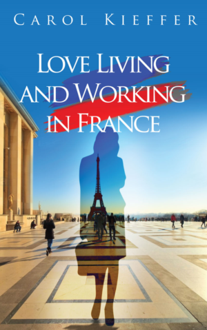 Design de Couverture eBook par Sarina.dsg pour ce projet | Design : #20285069