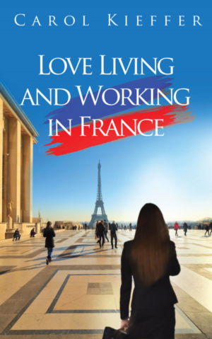 eBook Cover Design by Sarina.dsg for this project | Design: #20285869