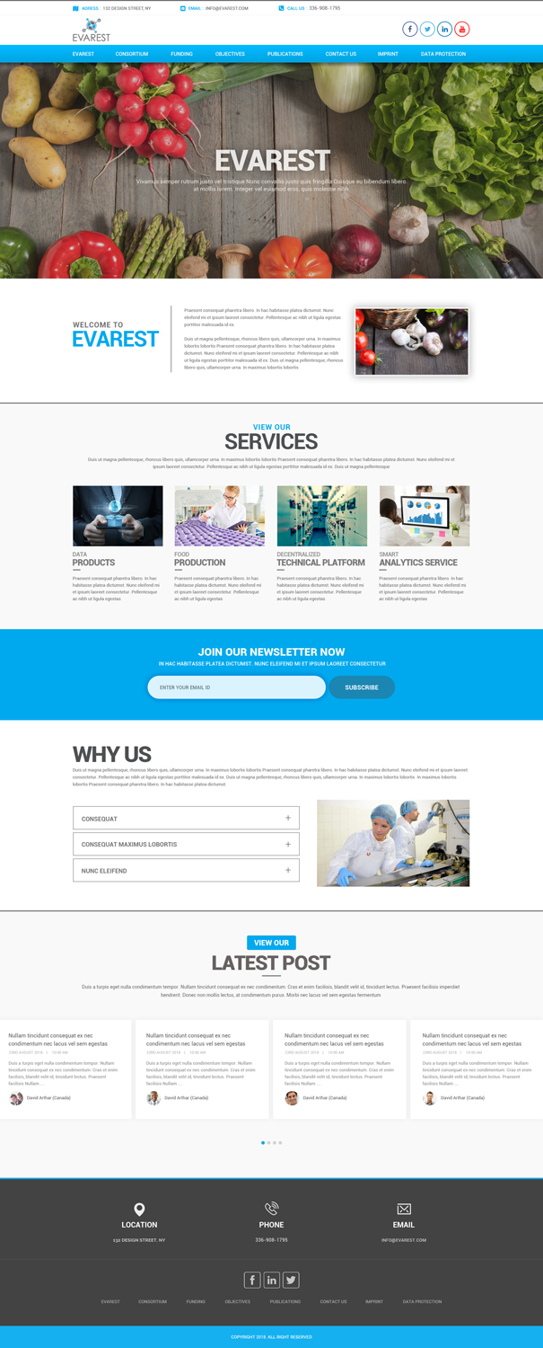 Web Design by Dream Logo Design for this project | Design #20178262