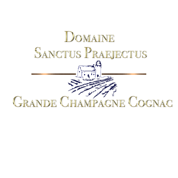 Logo Design by Elisa Clare for Société OPTIMUS BRANDS | Design #20195653