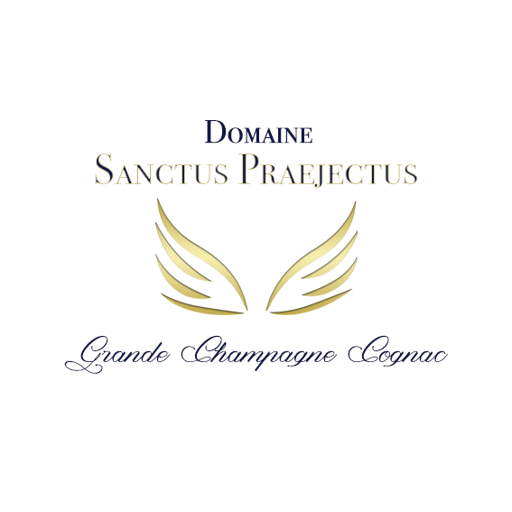 Diseño de Logo por Elisa Clare para Société OPTIMUS BRANDS | Diseño #20205004